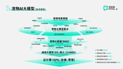 政企共鑒，智啟新程 寵拍檔亮相全國服務消費季特色成果展，技術咨詢服務引發關注